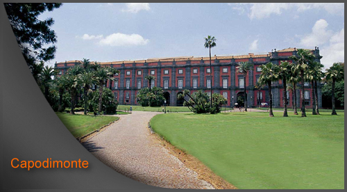 Hotel Capodimonte Napoli - Alberghi Capodimonte Napoli - Webstarhotel.com