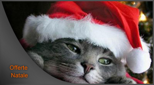 Offerte a Natale Praiano - Webstarhotel.com