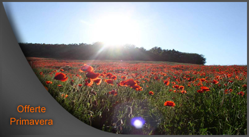 Offerte in Primavera Praiano - Webstarhotel.com