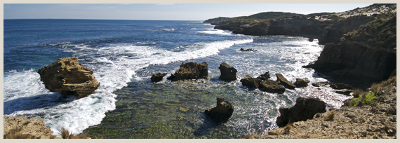 cosa fare a sorrento