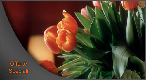 Offerte Speciali Sorrento - Webstarhotel.com